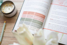 Load image into Gallery viewer, Colossians Bible Study | Exalted