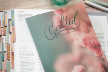 Load image into Gallery viewer, Colossians Bible Study | Exalted