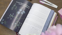 Load image into Gallery viewer, Immeasurable | Ephesians Bible Study
