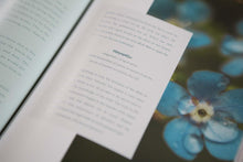 Load image into Gallery viewer, Galatians Bible Study | Extravagant