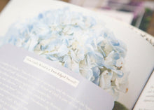 Load image into Gallery viewer, Harmony | How To Renew Your Mind