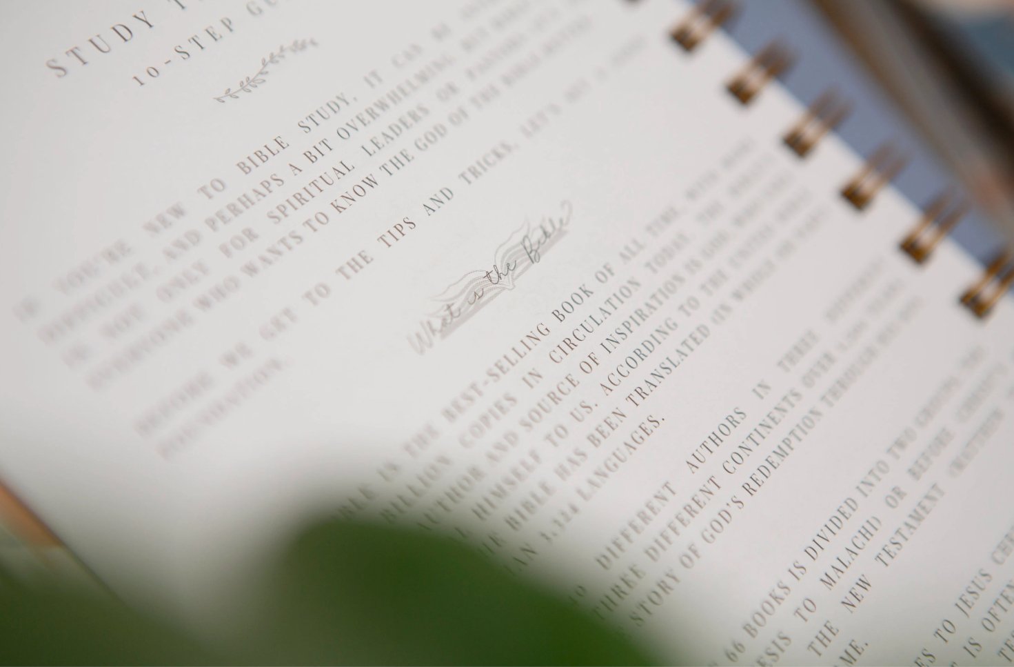 Behold Bible Study Journal | In-depth Bible Study