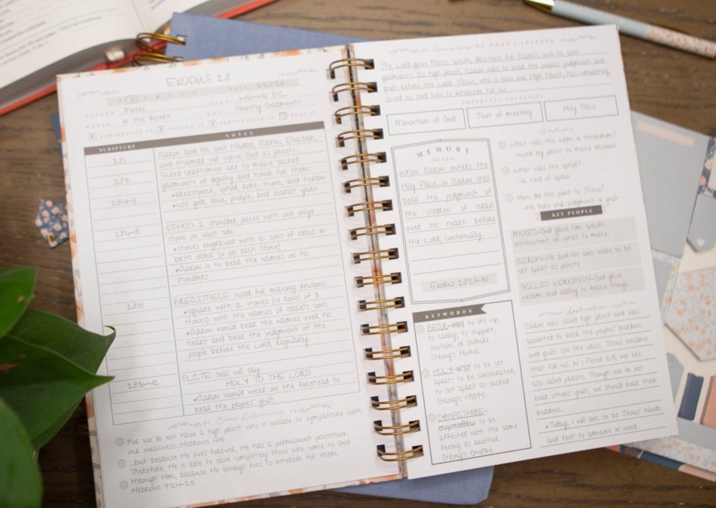 Behold Bible Study Journal | In-depth Bible Study – chosenandcherishedshop